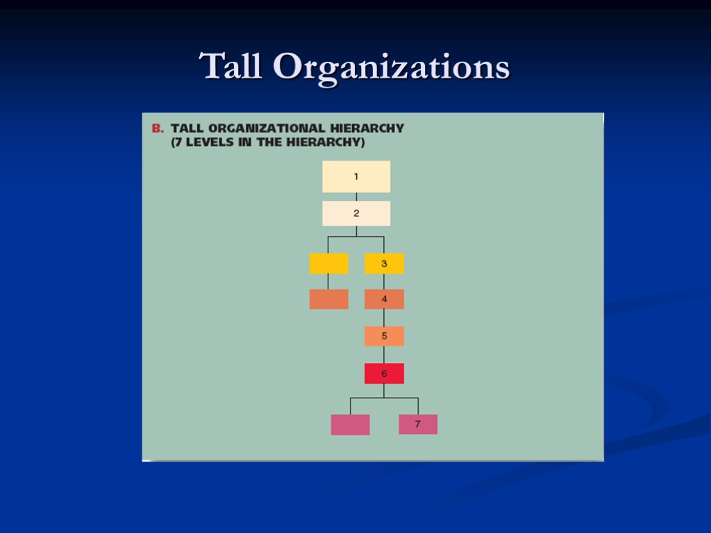 Tall Organizations